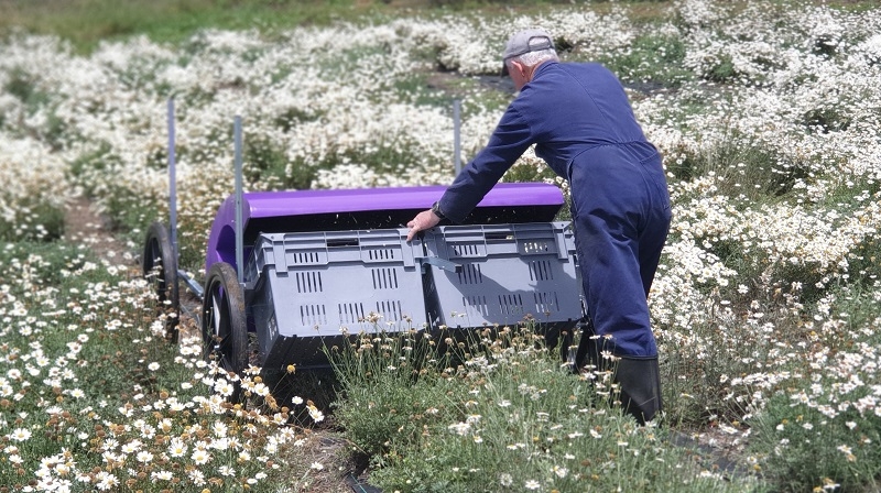 harvesting